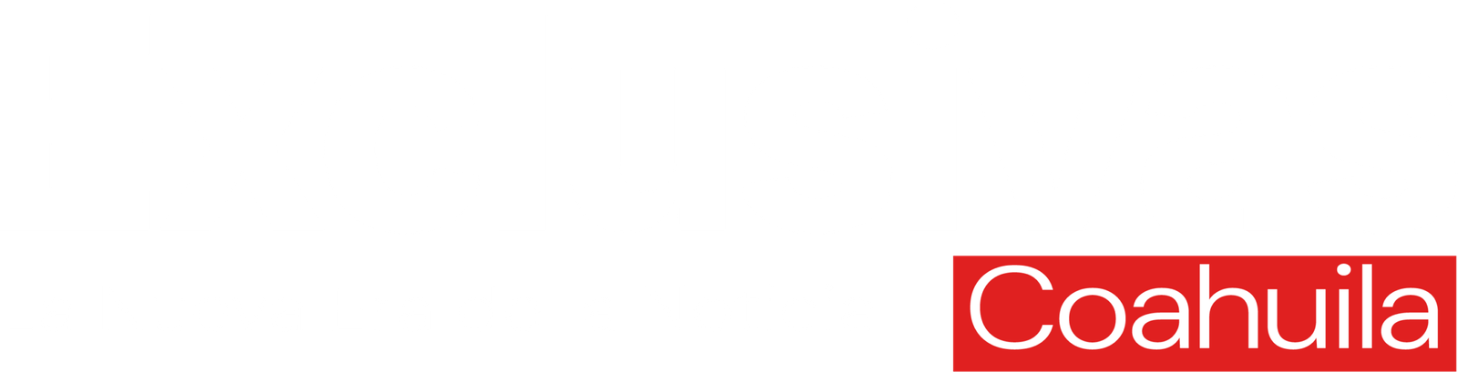 exclusivascoahuila.com.mx